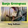 Tony Sullivan - Banjo Greengrass